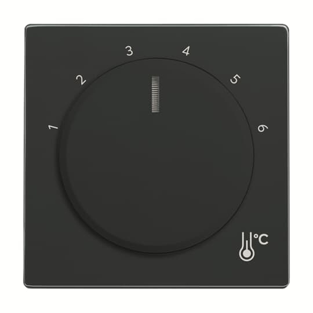 Busch-Jaeger Zentralscheibe Temperatur 1794 R-81 Nr. 2CKA001710A4198