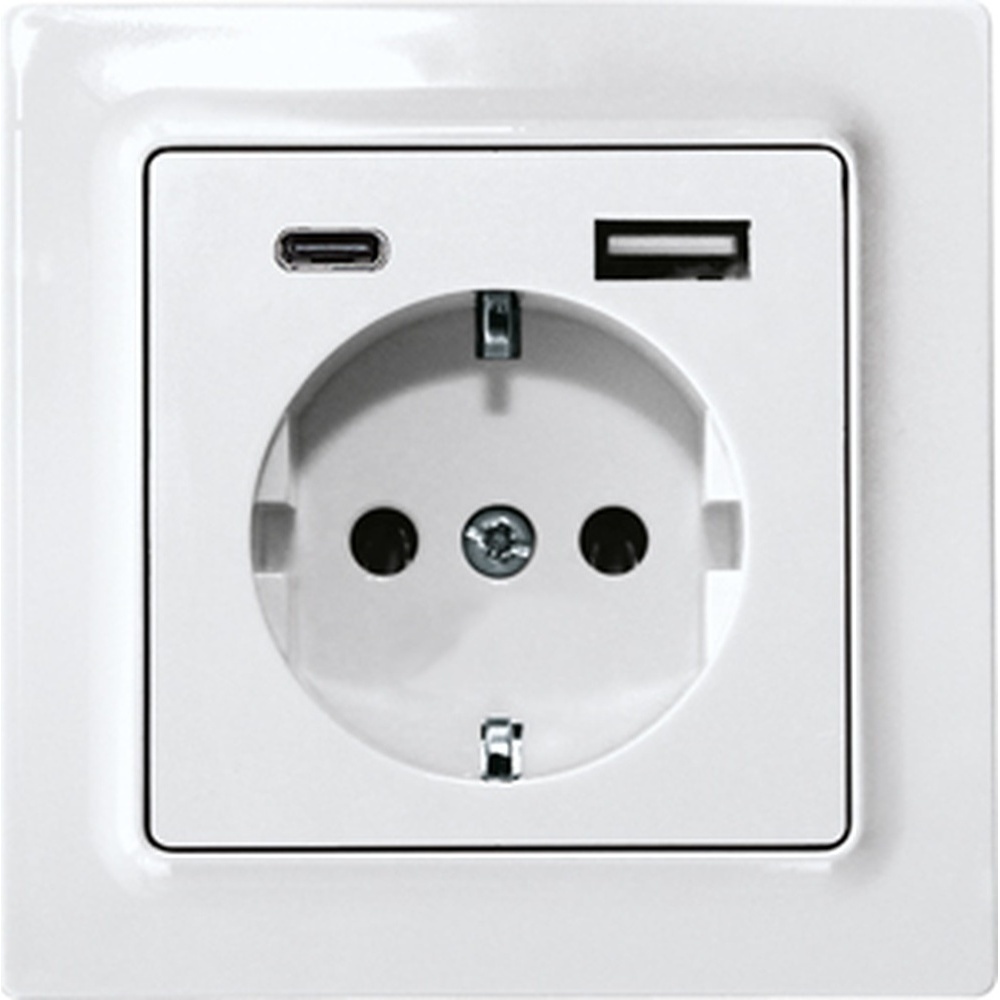 ELTAKO Schutzkontakt Steckdose 30055902 Typ DSS55E+USBA+C-pm