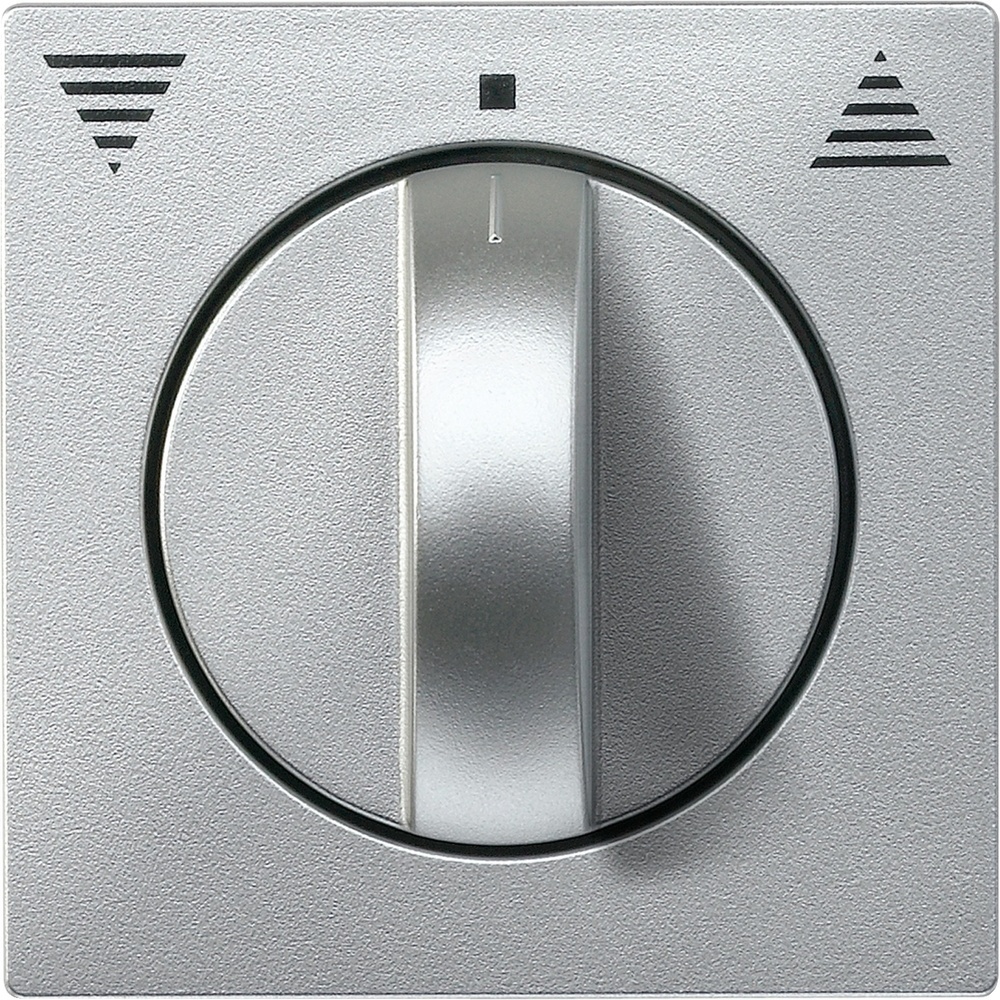 Merten Zentralplatte 569860