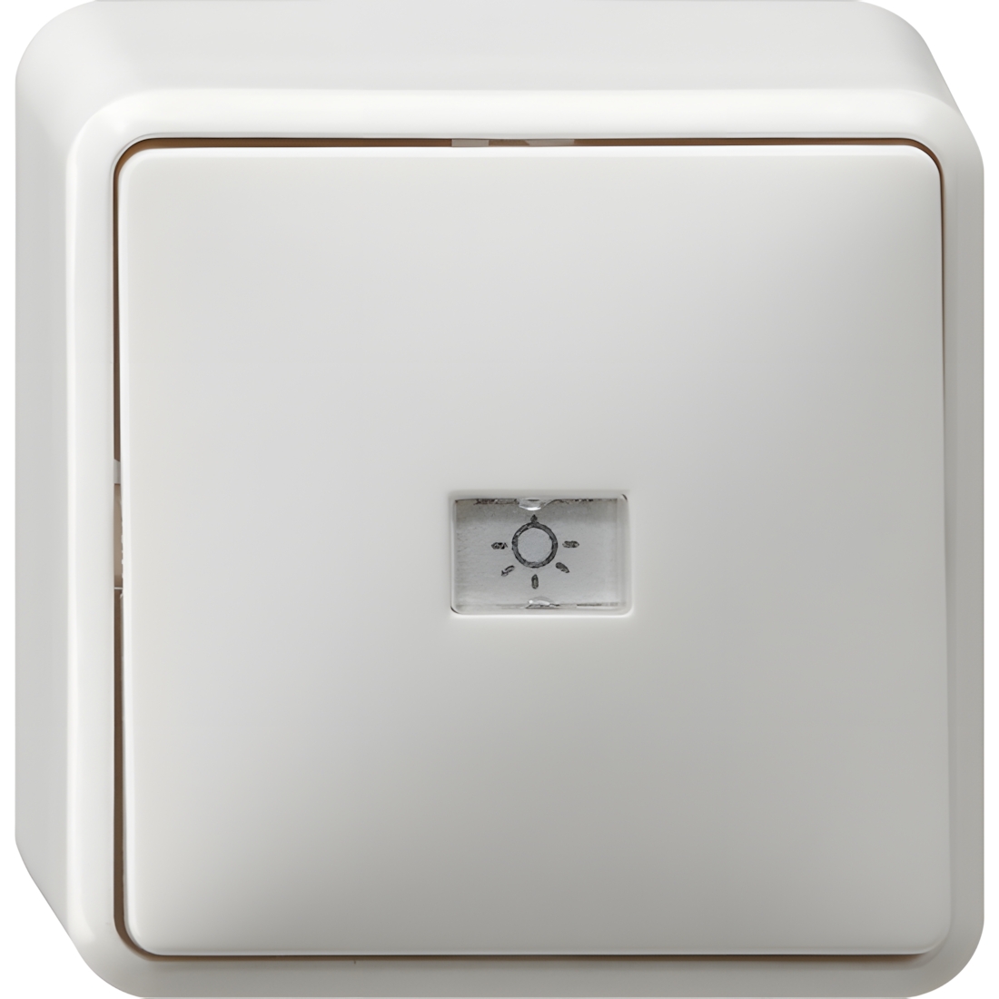 Gira Wipptaster 015213