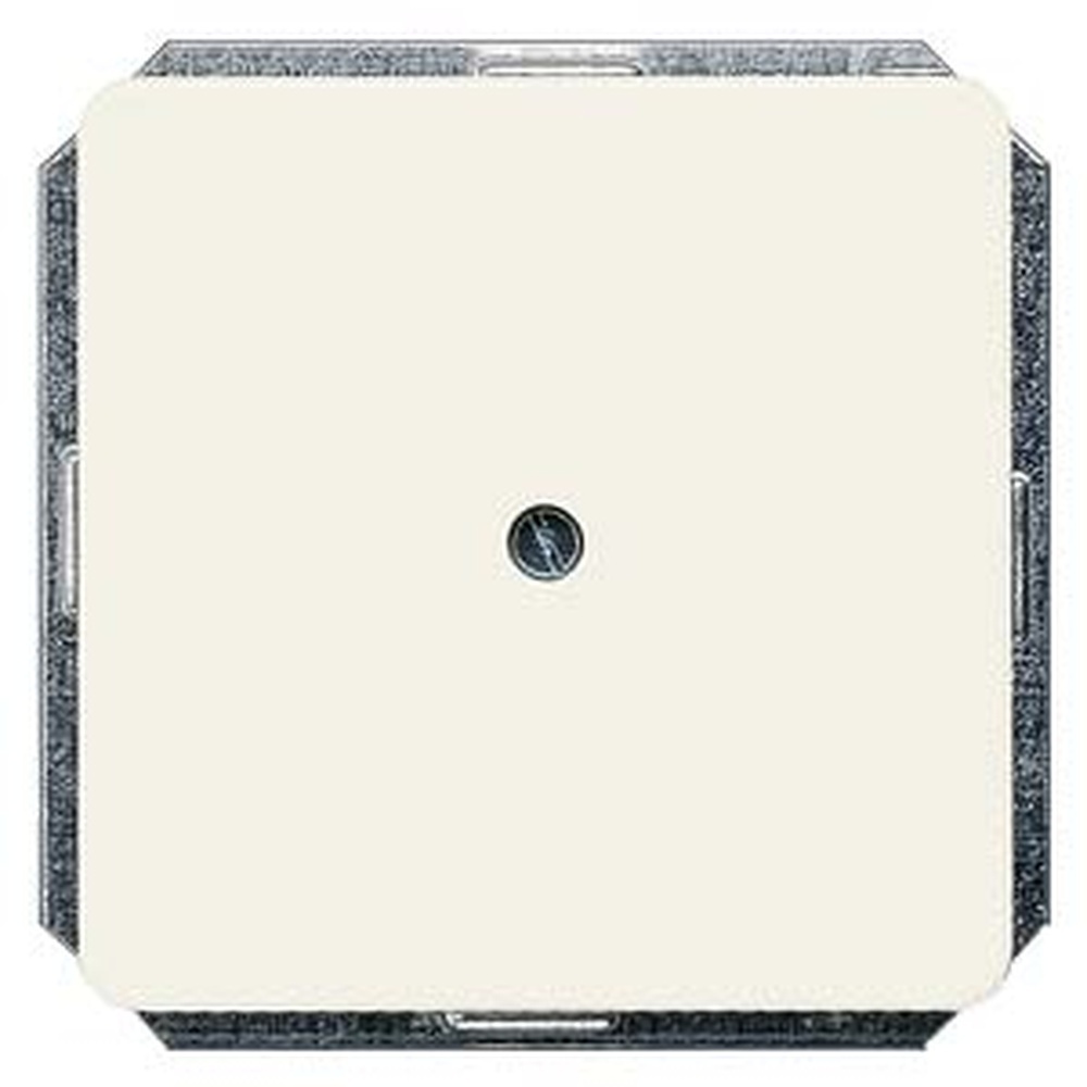 Siemens Blind Abdeckplatte 5TG1810