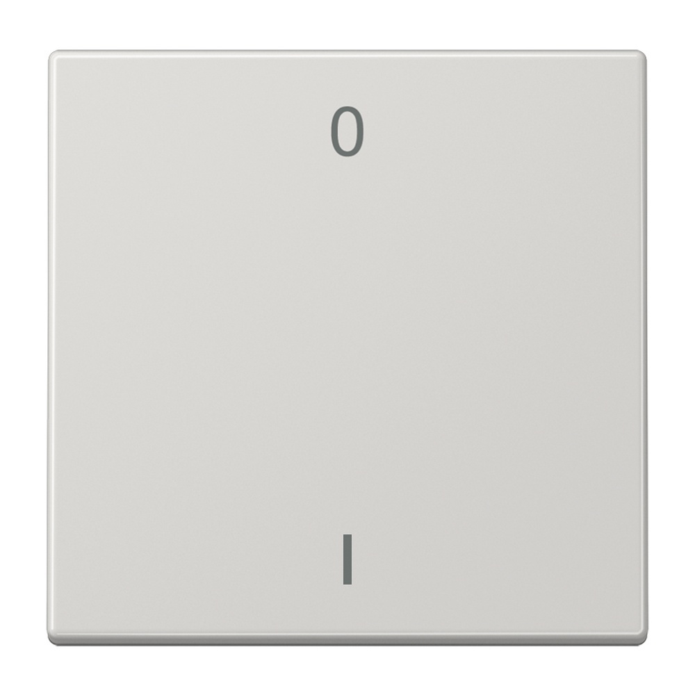 Jung EnOcean Funk Wandsender ENO LS 990-01 LG