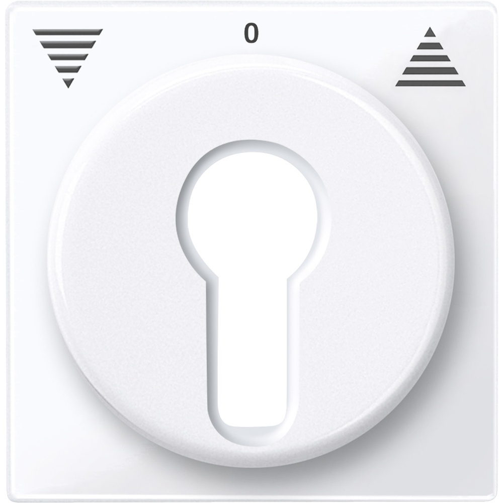 Merten Zentralplatte 319425