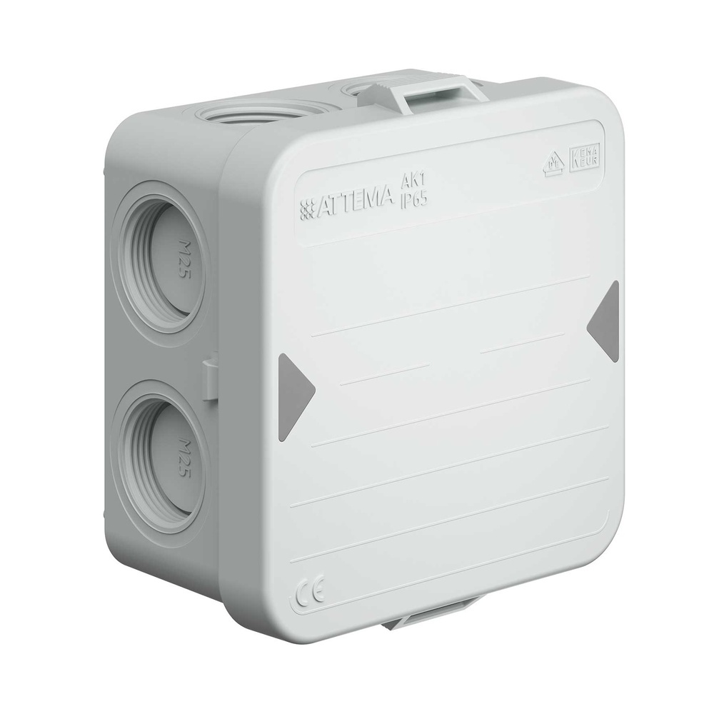 Kaiser Kabelabzweigkasten AT2518