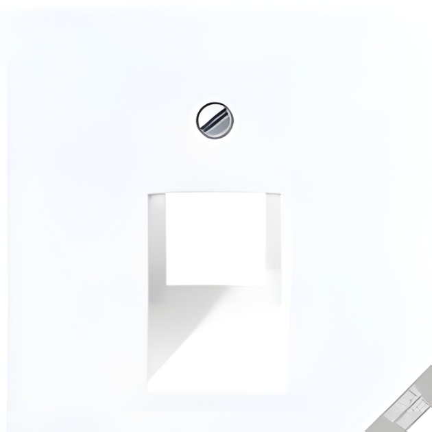 Jung Abdeckung IAE/UAE A 569-1 BFPLUA