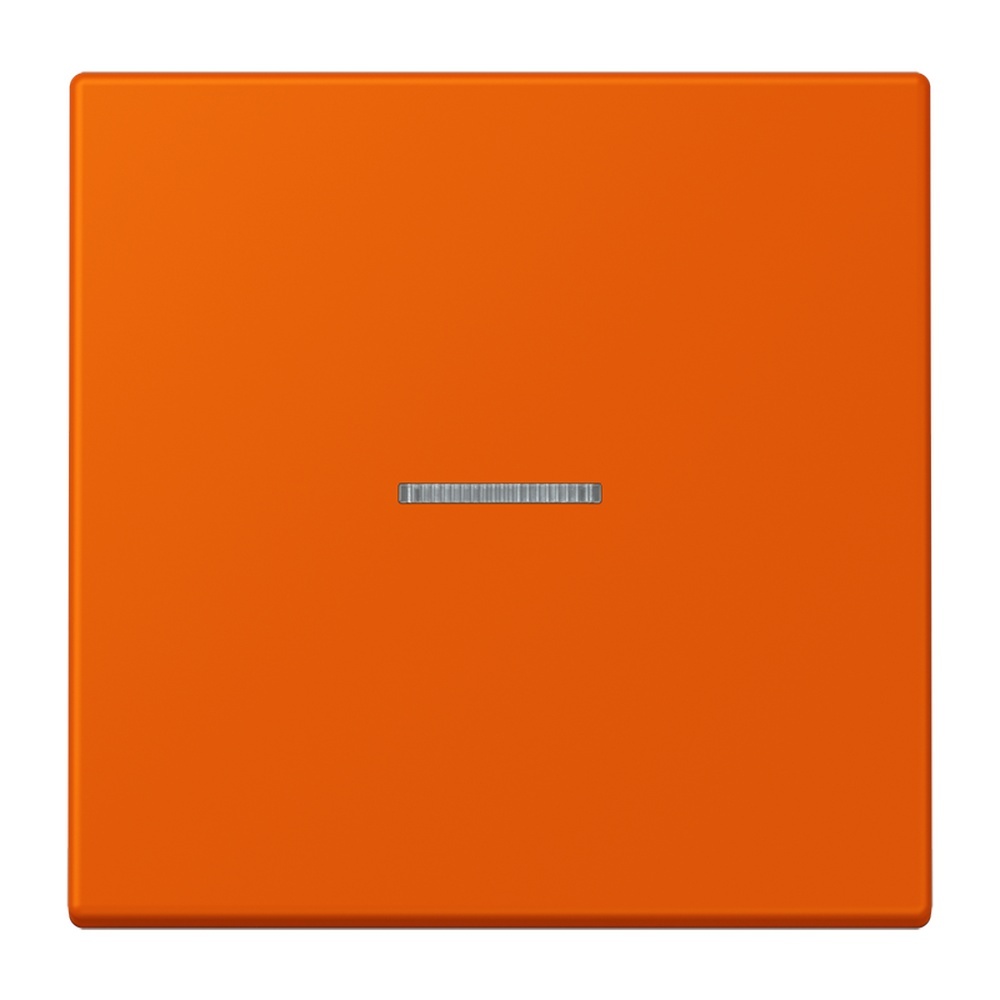 Jung Wippe mit Lichtleiter für Taster 1fach LC101KO5260