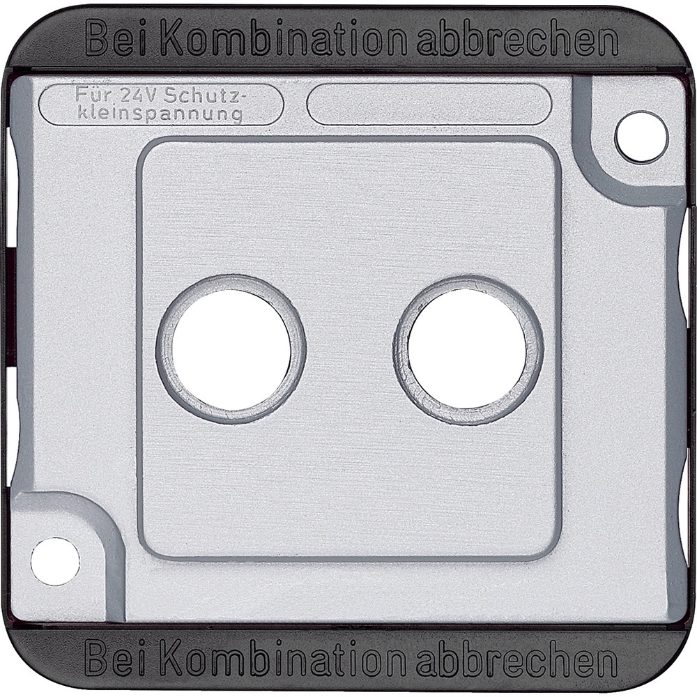 Merten Zentralplatte 294660