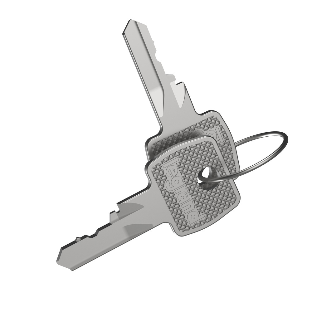 Legrand Schlüssel 036545