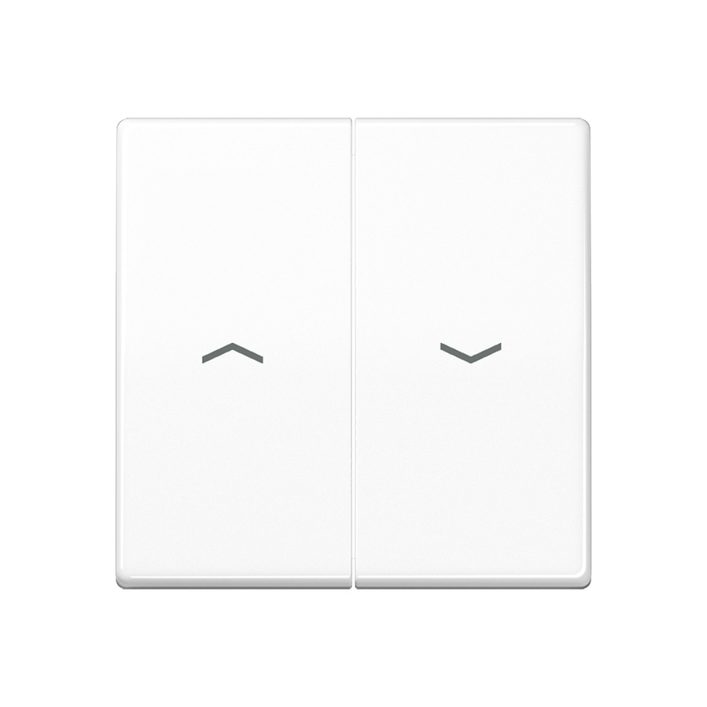 Jung Wippe 2fach SPAS591-5PWW