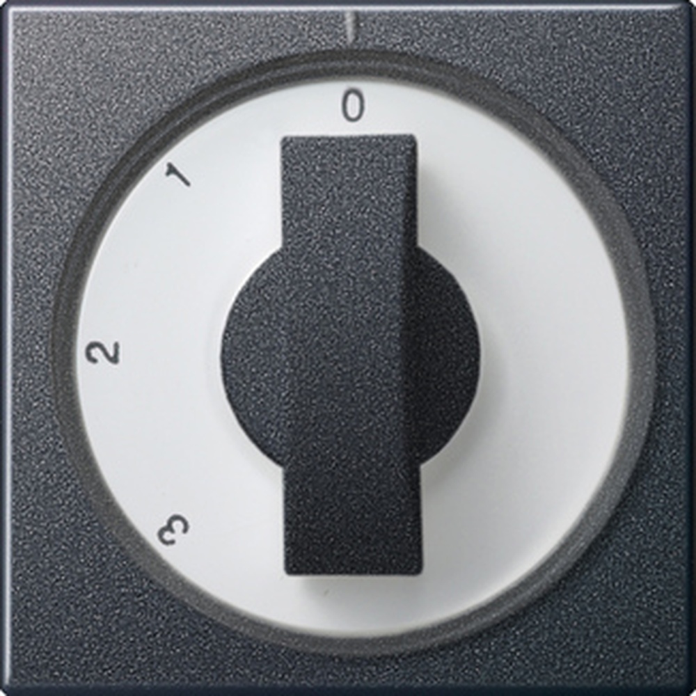 Gira Abdeckung Knebel 066928