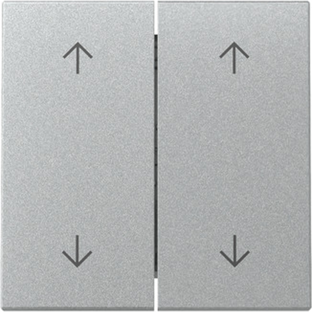 Gira Wippe 2fach 329726