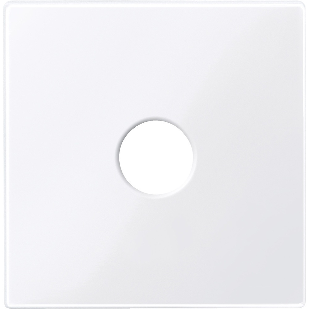 Merten Zentralplatte 451825