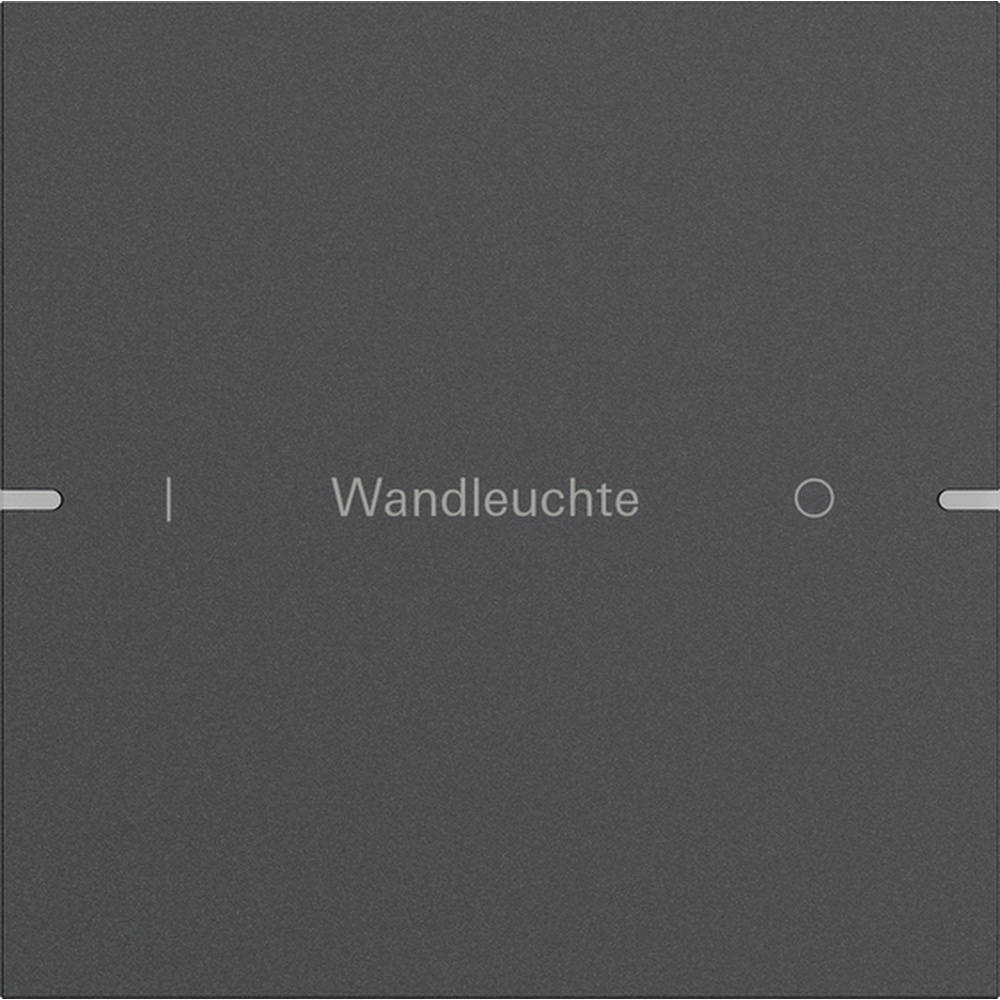 Gira Wippenset 1fach 5031928