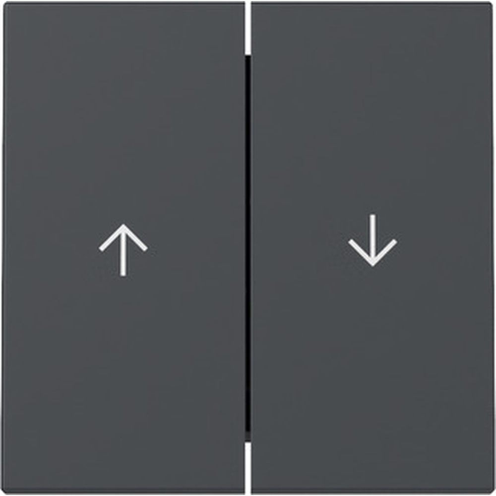 Gira Wippe 2fach 329428