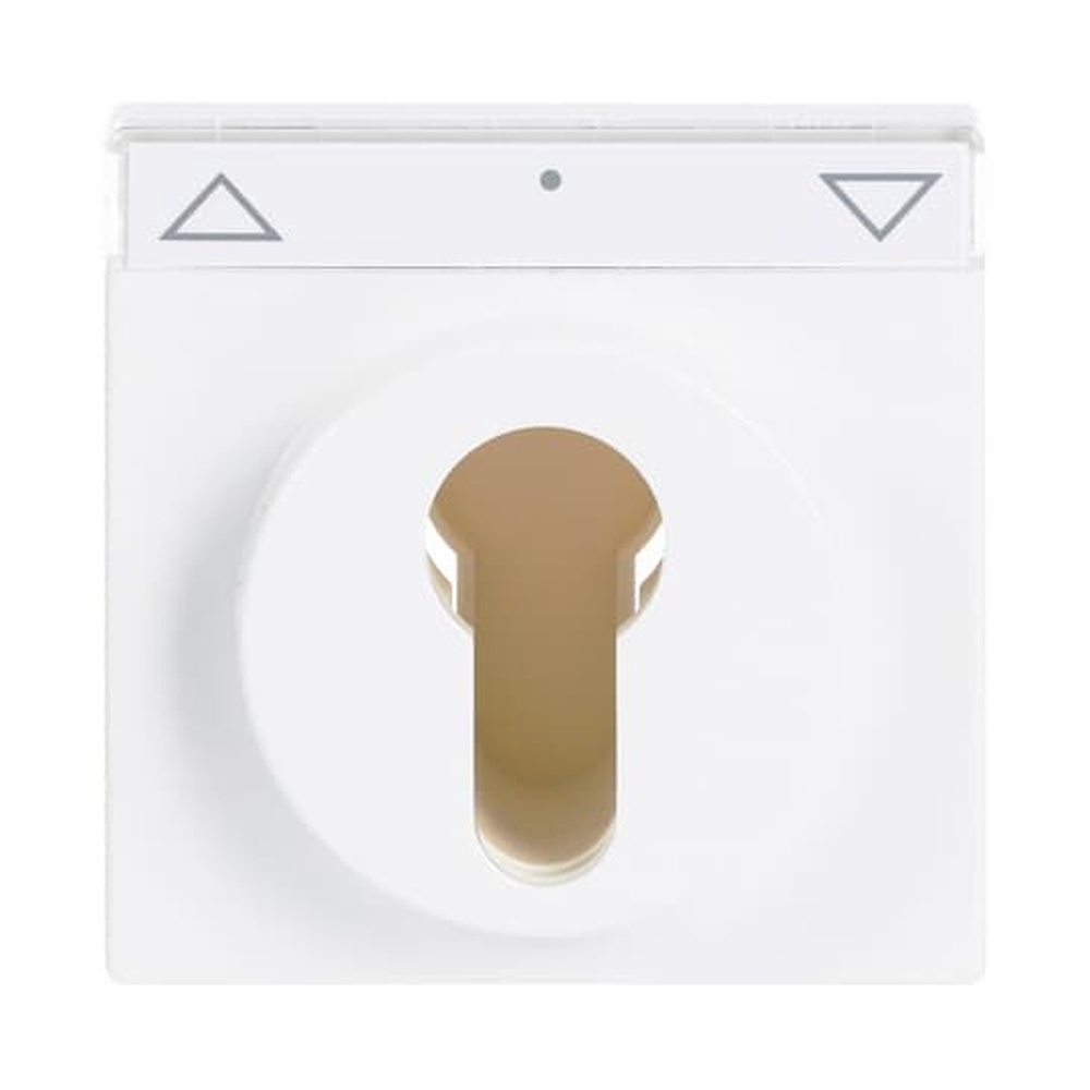 Busch-Jaeger Zentralscheibe 1755 SL/PZ-84-101 Nr. 2CKA001710A3175