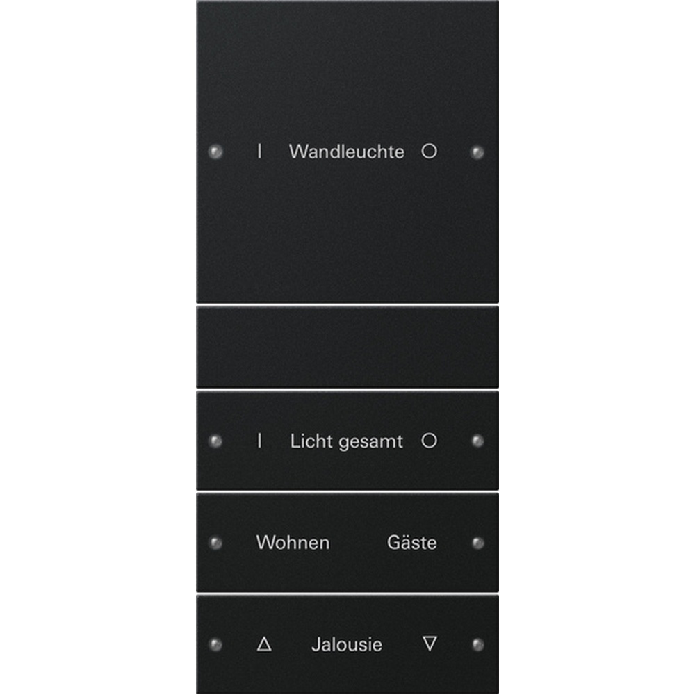 Gira Wippenset 2204005