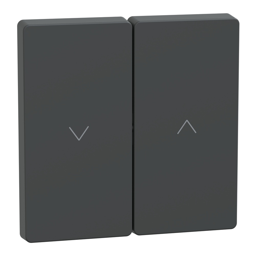 Merten Wippe MEG3855-6034