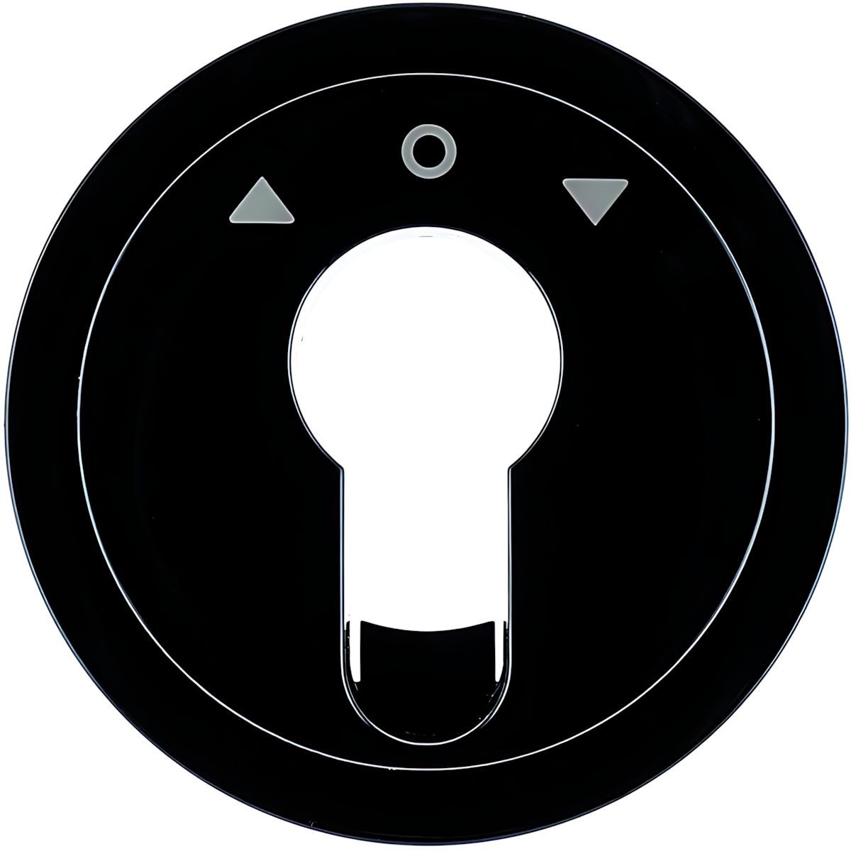 Berker Zentralstück 15062045