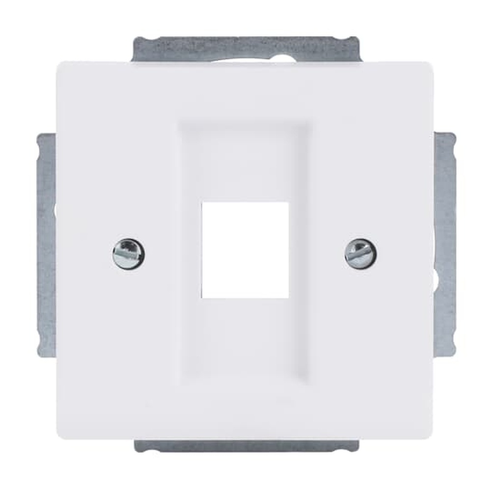 Busch-Jaeger Zentralscheibe 2561-884 Nr. 2CKA001753A0405