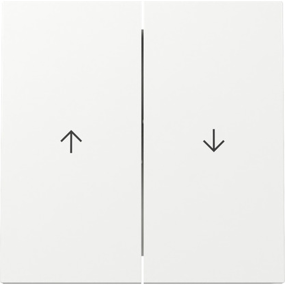 Gira Wippe 2fach 329470