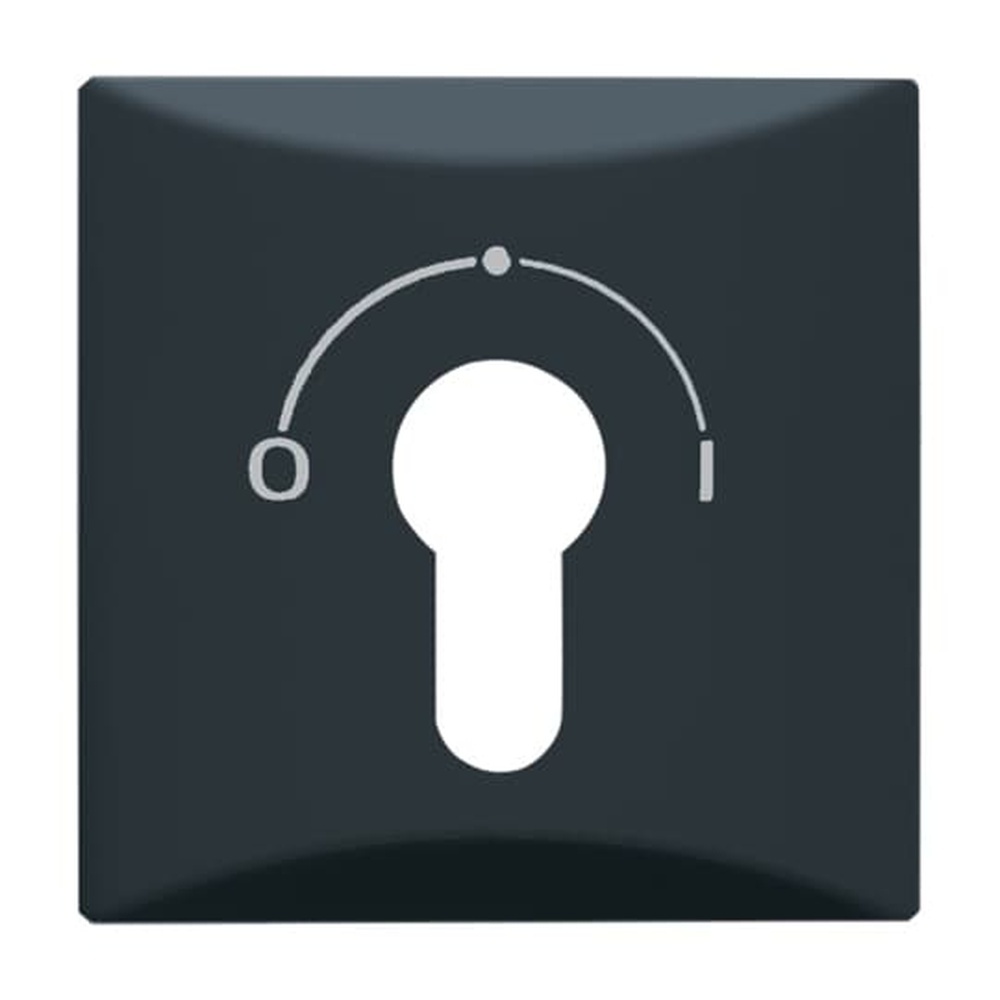 Busch-Jaeger Zentralscheibe 2155 SLPZ-35 Nr. 2CKA001710A1902