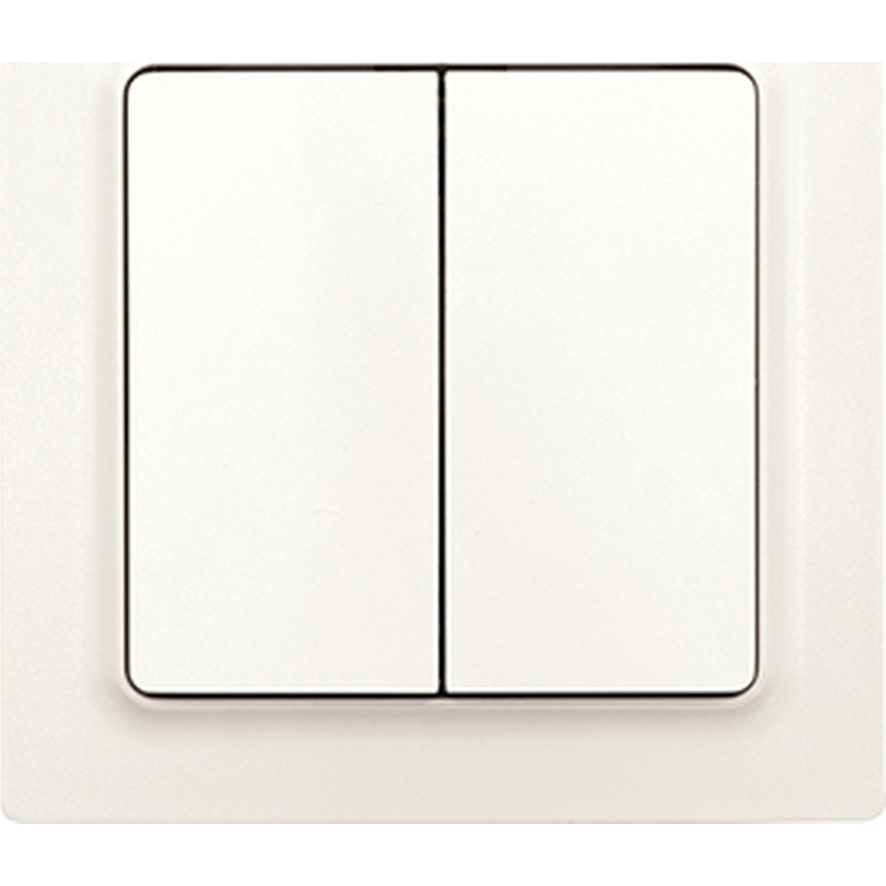 ELTAKO Funktaster 30055734 Typ F4T55E-pm