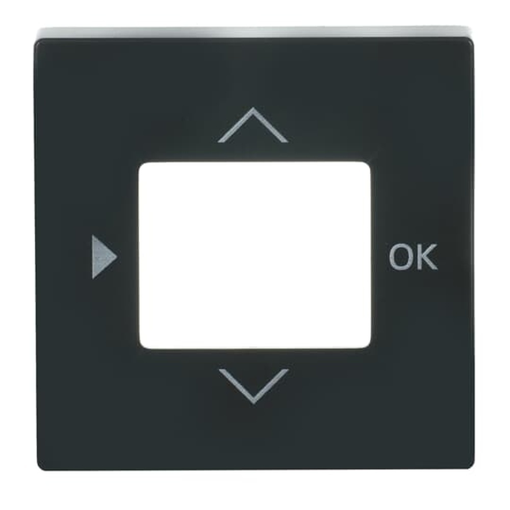 Busch-Jaeger Zentralscheibe 6435-81 Nr. 2CKA006430A0303