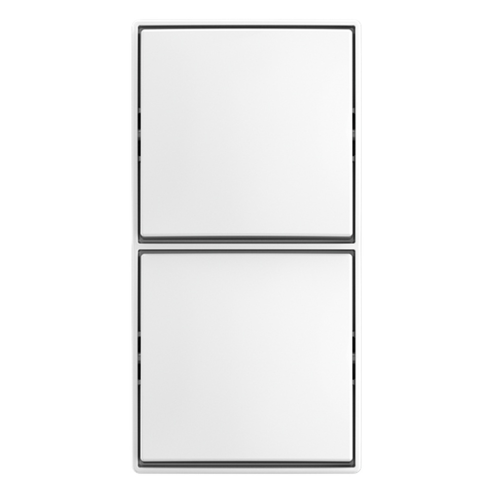 Busch-Jäger Kombination 2601/6/2601/6 APJ-524 Nr. 2TKA00005525