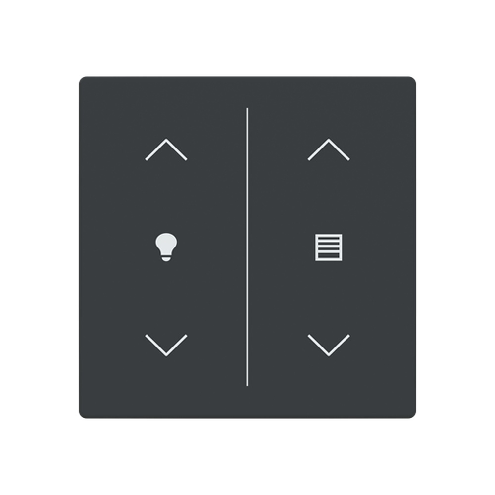 Busch-Jaeger Abdeckung LFDW/A.2.63.11-81 Typ 2CKA006199A0239