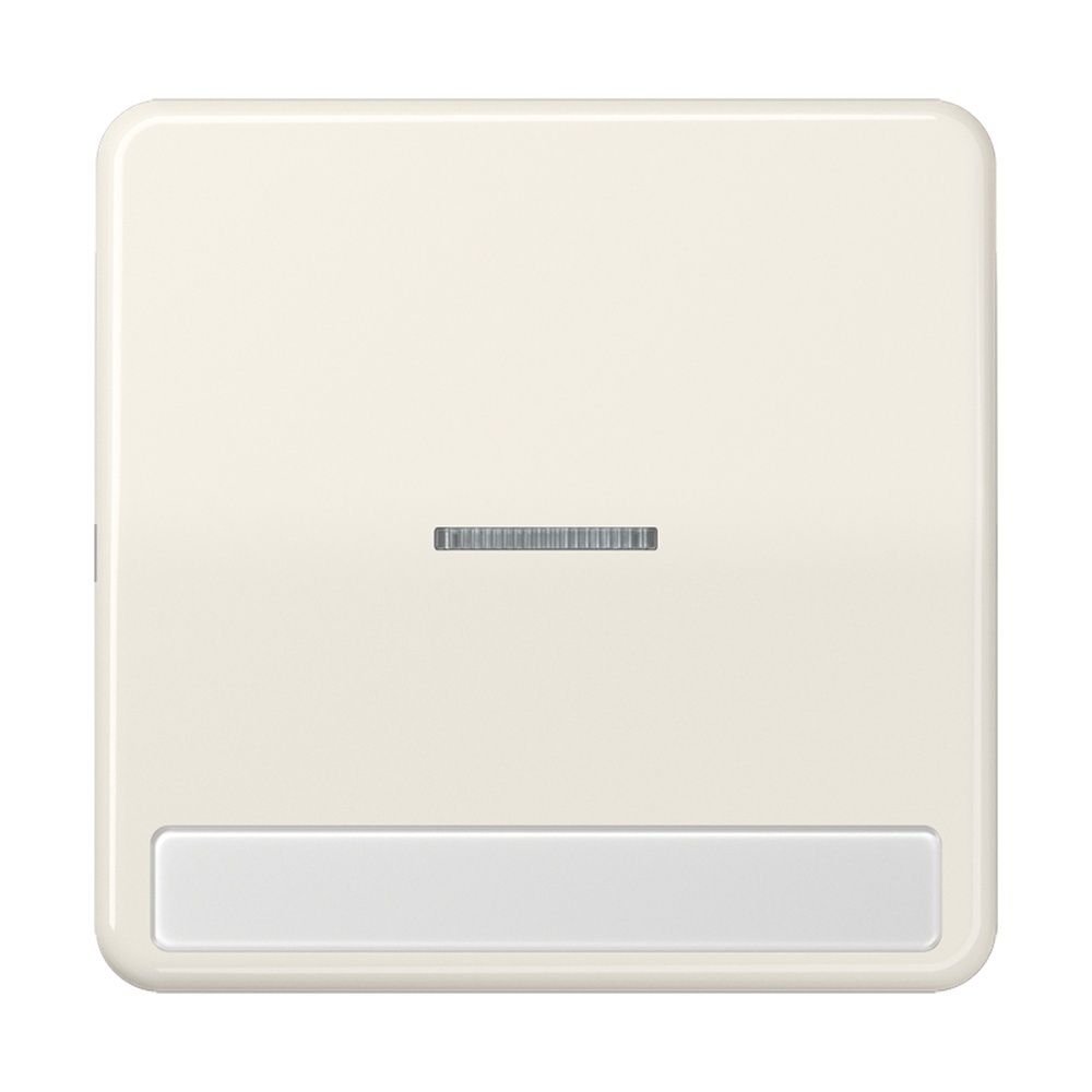 Jung Wippe CD 590 NAKO5