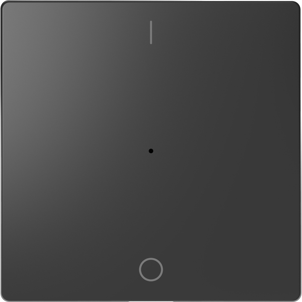 Merten Wippe MEG5211-6034