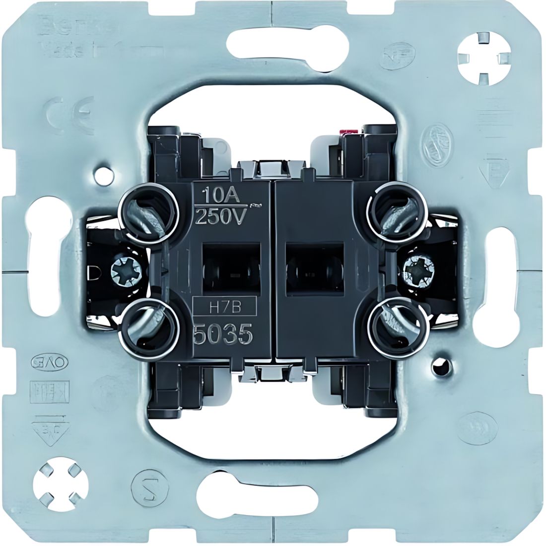 Berker Wippentaster 5035