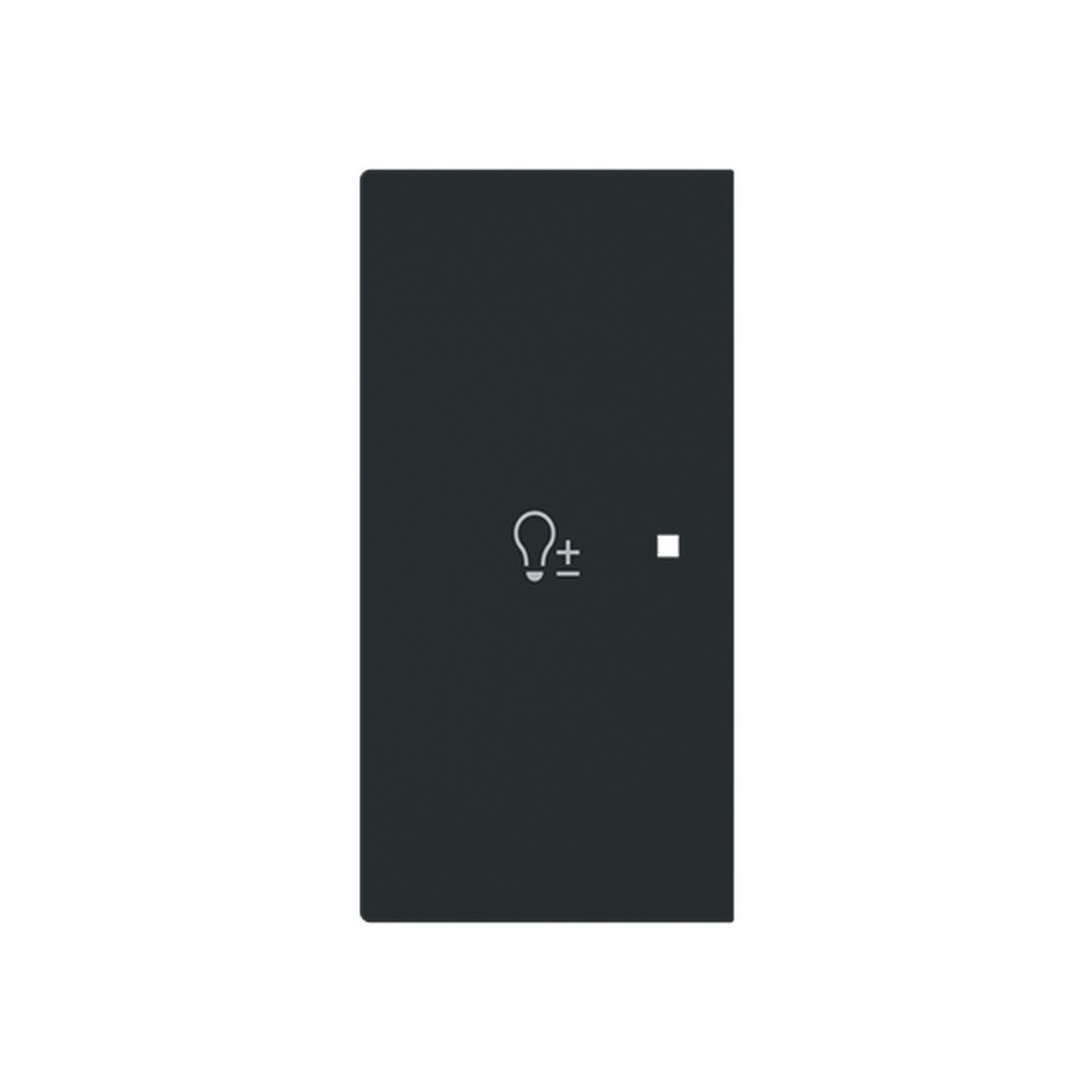 Busch-Jaeger Wippe 6234-21-45M Typ 2CKA006220A0959