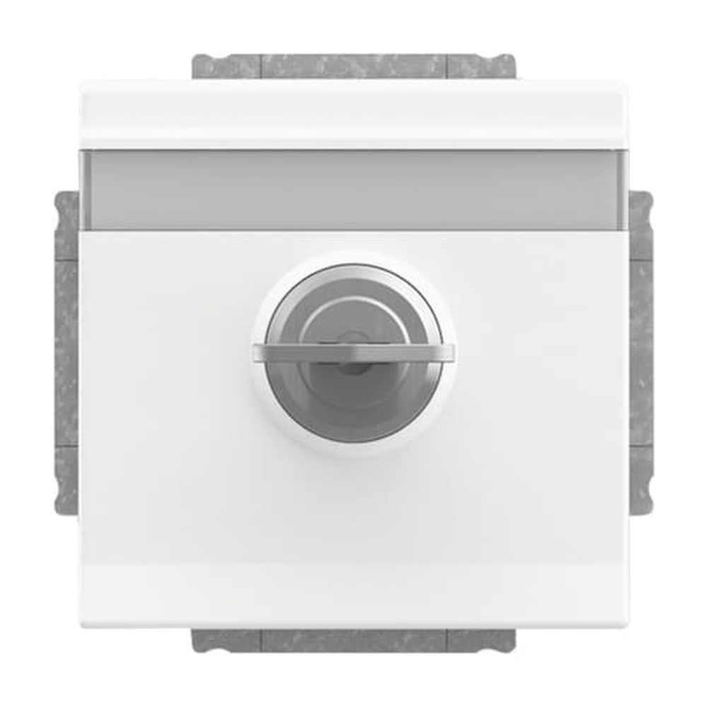 Busch-Jaeger SCHUKO Steckdosen Einsatz 20 EUKNBSL-884-101 Nr. 2CKA002018A1566