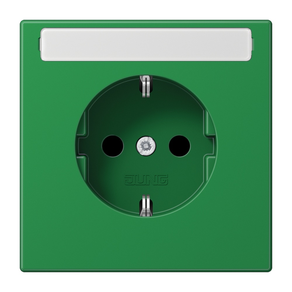 Jung Schutzkontakt Steckdose LS 1520 BFNA GN