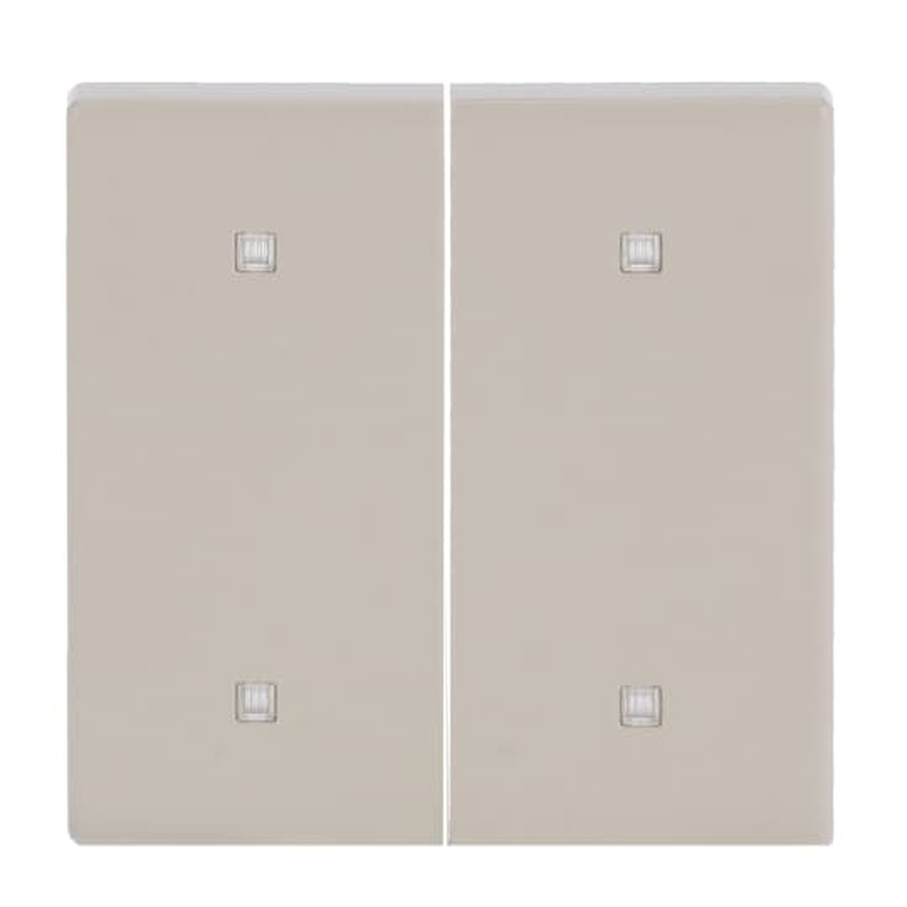 Busch-Jaeger Wippe Elektroniktaster 2fach 2570-20-82 Nr. 2CKA001751A3274