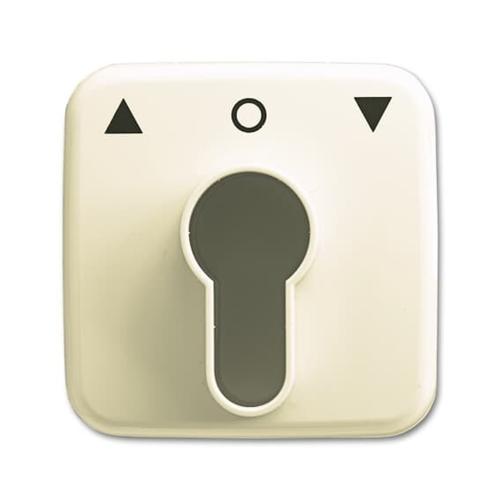 Busch-Jaeger Zentralscheibe 2557 PZ-212-101 Nr. 2CKA001710A1332