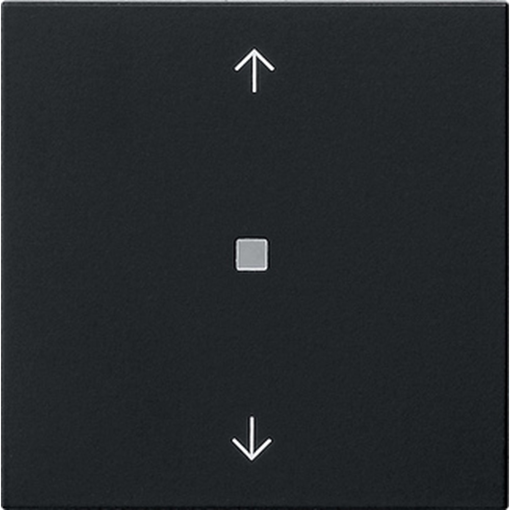 Gira Wippe 1fach 5388005