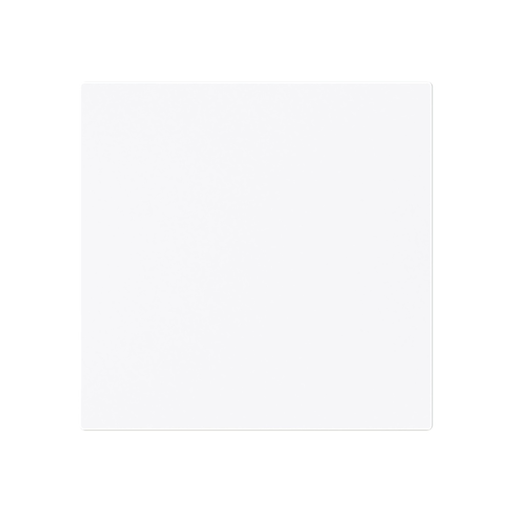 Busch-Jaeger Wippe 1786-44G Typ 2CKA001751A3333