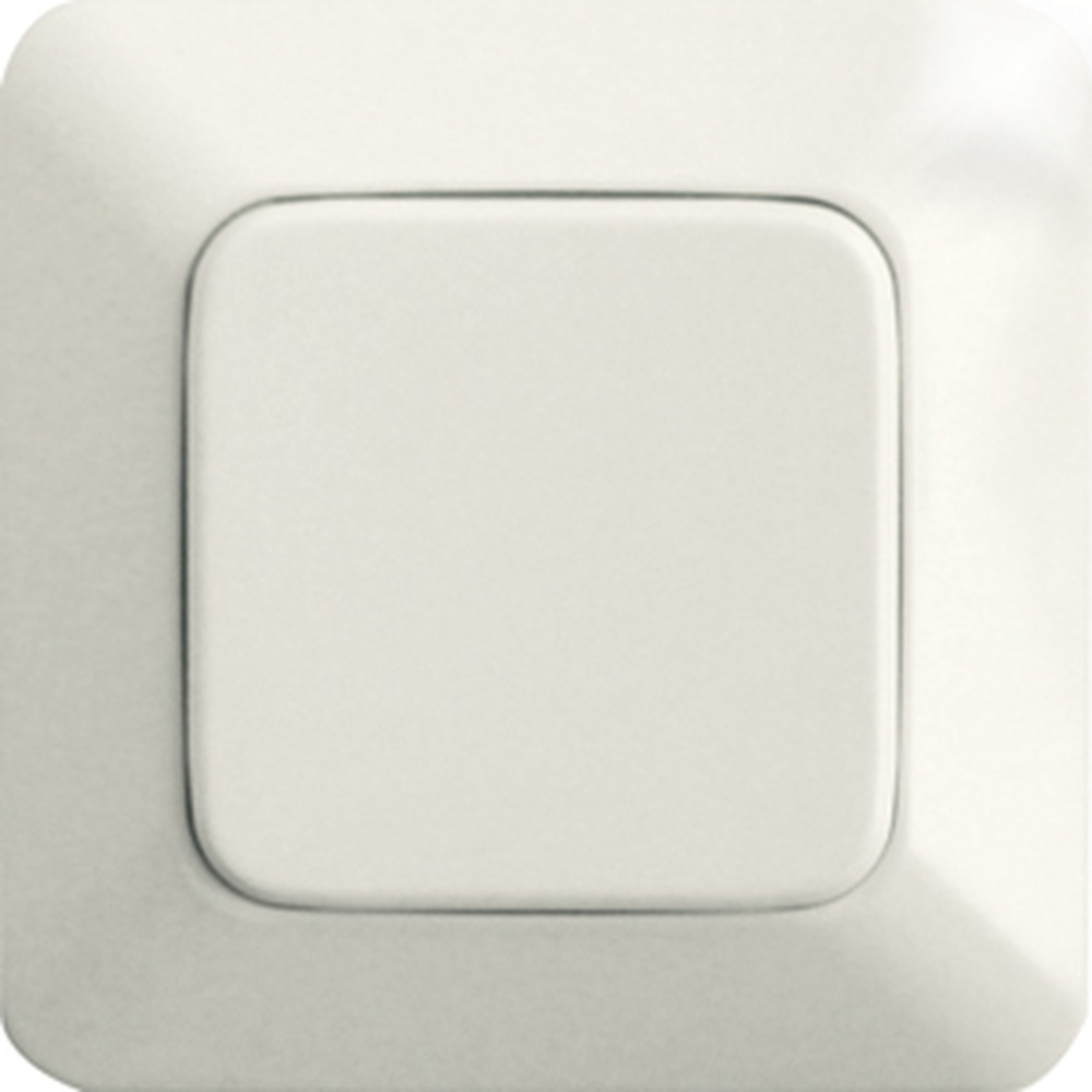 ELTAKO Funktaster 30000243 Typ FT55RS-alpinweiß