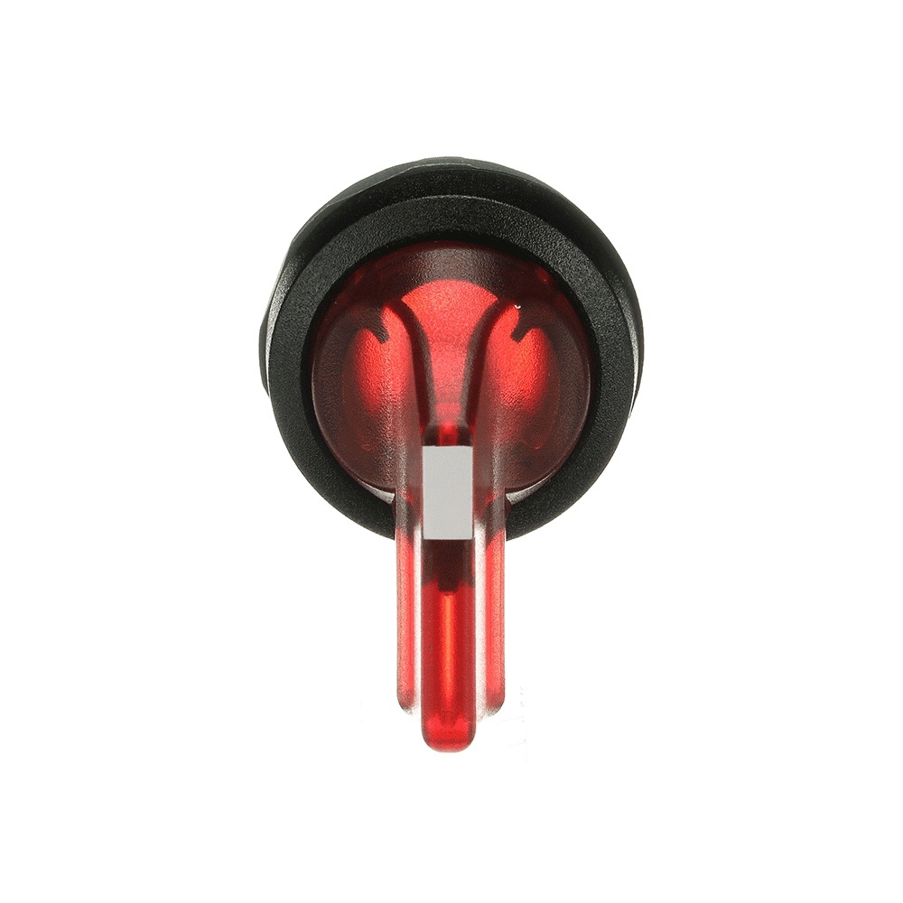 ABB Frontelement für Wahlschalter 1SFA611214R1101 Typ M3SS5-11R