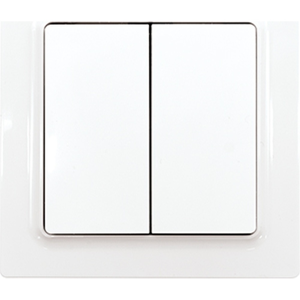 ELTAKO Funktaster 30056705 Typ F4T55EOR-wg