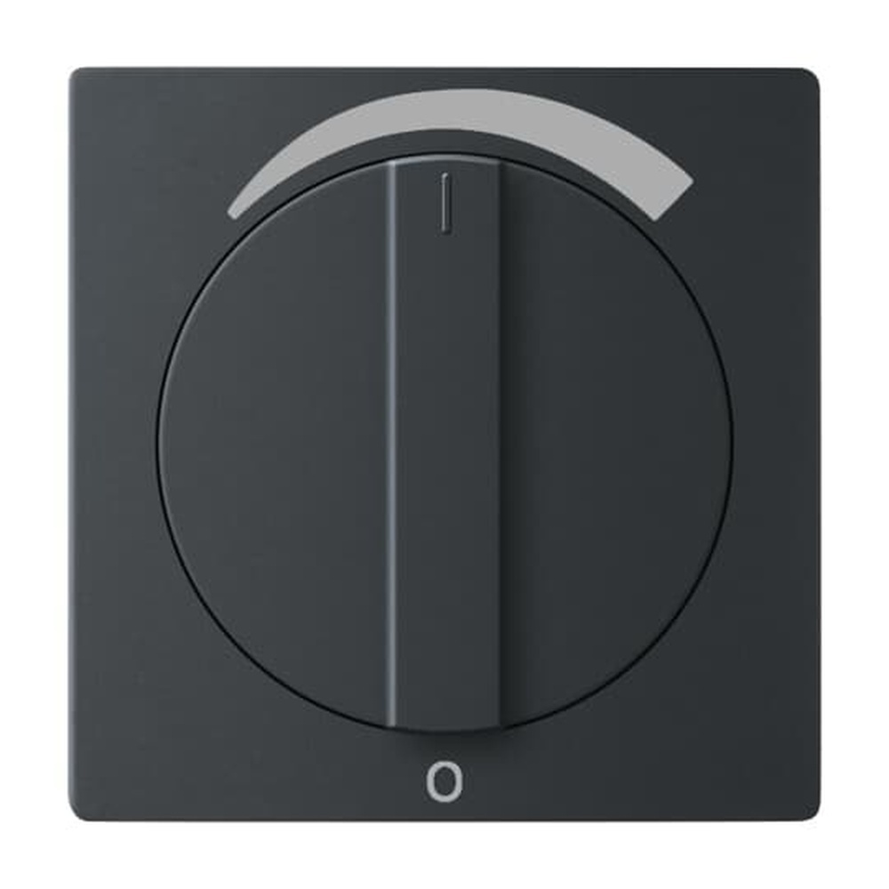 Busch-Jaeger Zentralscheibe 1740 DR/03-885 Nr. 2CKA001710A3892