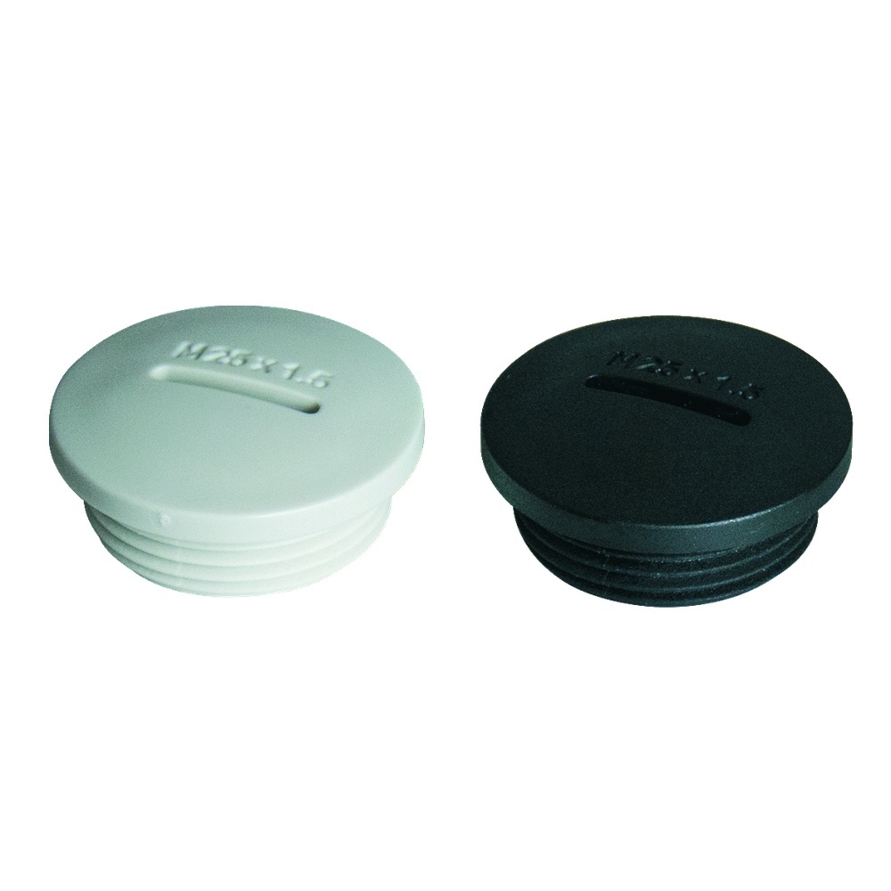 Haupa Blindstopfen 250216