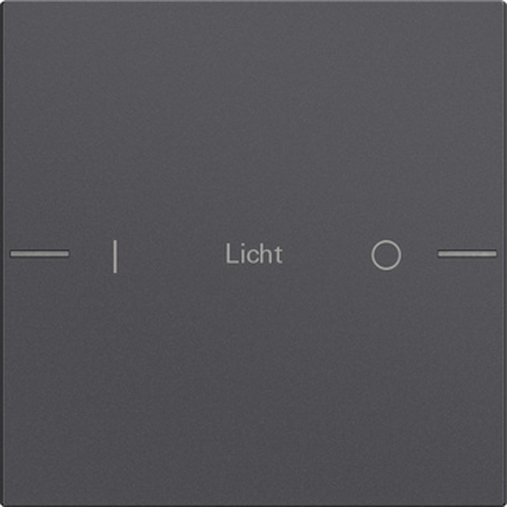 Gira Wippenset 1fach 576128