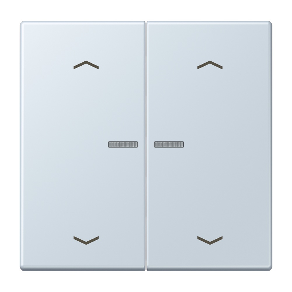 Jung Wippe mit Lichtleiter LC102KO5P209