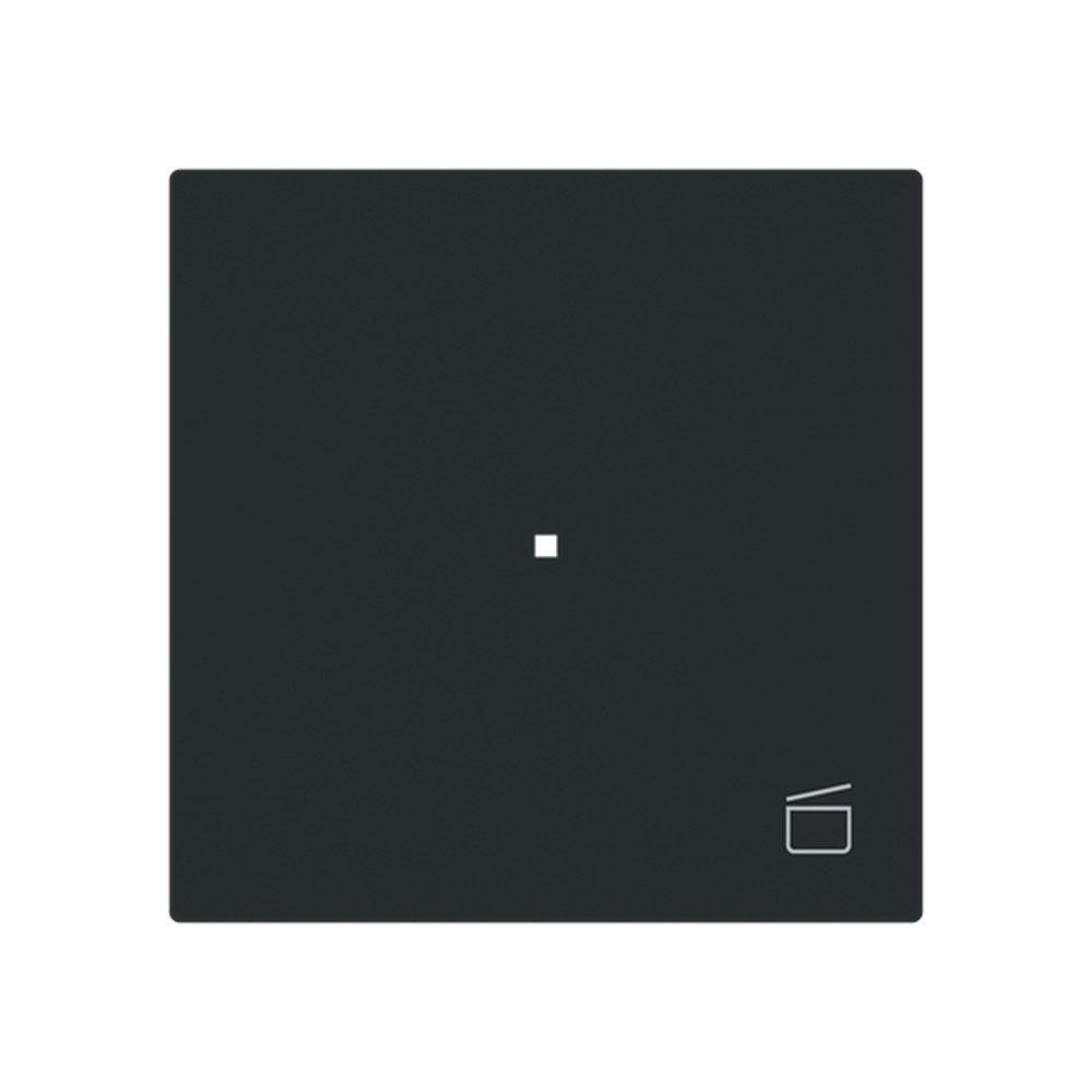 Busch-Jaeger Wippe 6233-10-45M Typ 2CKA006220A0943