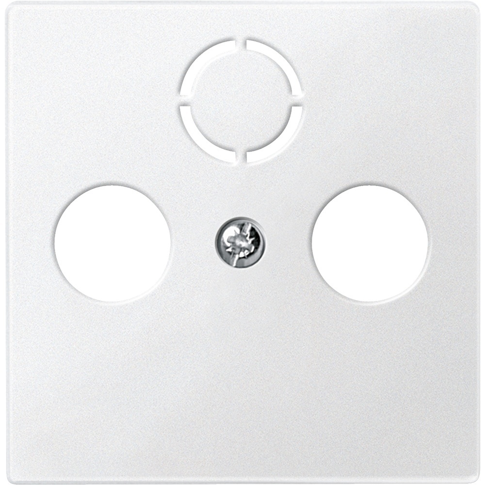 Merten Zentralplatte 297519