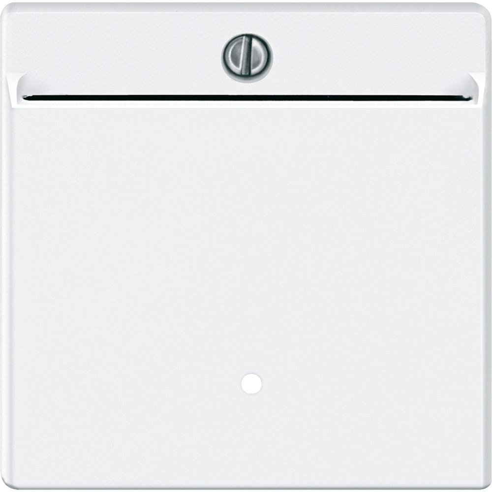 Merten Card Schalter 315419