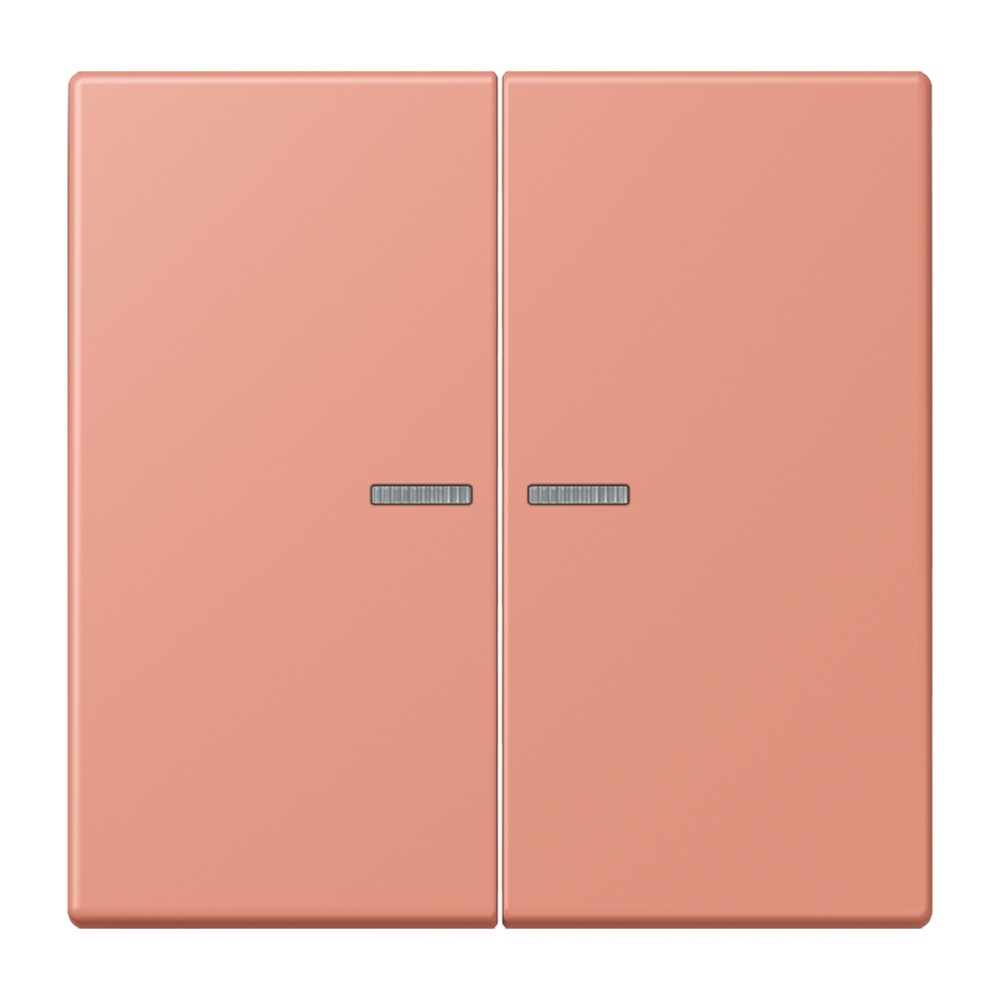 Jung Wippe mit Lichtleiter für Taster 2fach LC102KO5233